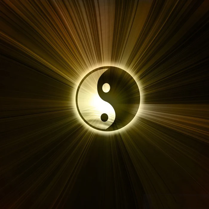 The Yin Yang