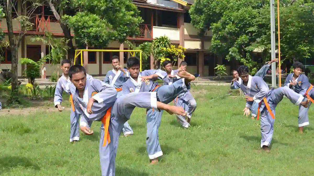 Tingkatan Sabuk NH Perkasya, Pengertian dan Makna Warna